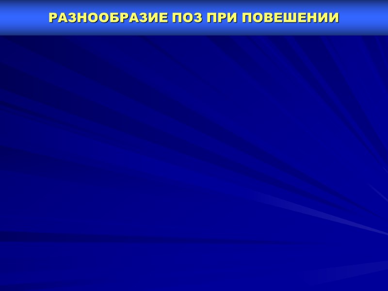 РАЗНООБРАЗИЕ ПОЗ ПРИ ПОВЕШЕНИИ